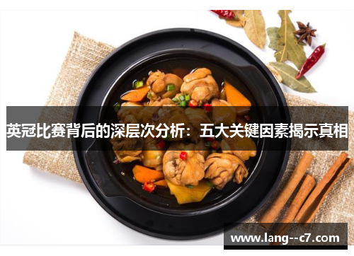 英冠比赛背后的深层次分析：五大关键因素揭示真相