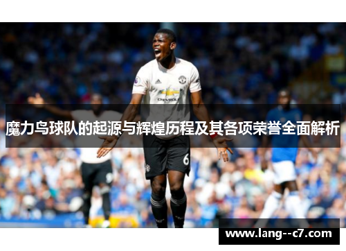 魔力鸟球队的起源与辉煌历程及其各项荣誉全面解析