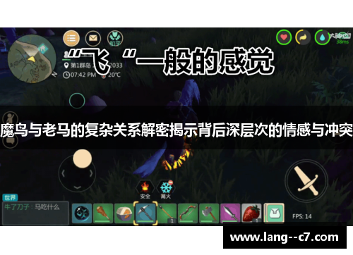 魔鸟与老马的复杂关系解密揭示背后深层次的情感与冲突