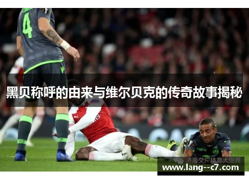 黑贝称呼的由来与维尔贝克的传奇故事揭秘